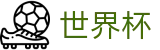 世界杯WORLD CUP 2026 · 世界杯官方资讯入口